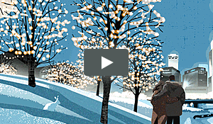 Overview Video